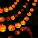 KAILEDI. Halloween String Lights, LED Pumpkin Lights, Holiday Lights for Outdoor Decor,2 Modes Steady/Flickering Lights(20 One Pumpkin Lights, 9.8 feet) (Orange)