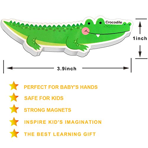 2 HLXY+Refrigerator+Magnets+Animals+Dinosaurs