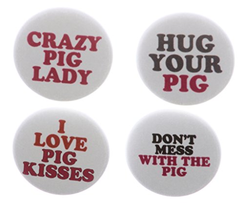 A&T Designs Set 4 Crazy Pig Lady Hug Love Kiss Humor 1.25