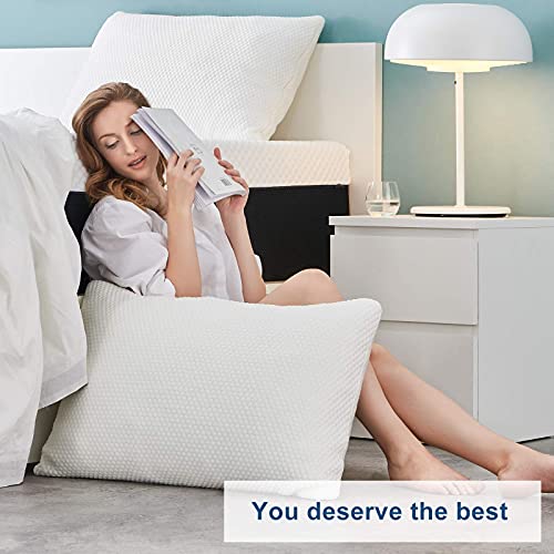 Molblly Queen Pillows 2 Pack, Shredded Memory Foam Bed Pillows Set of 2, Adjustable Loft Bed