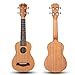 VIVICTORY Soprano Ukulele 21 Inch Mahogany Aquila String With Beginner Kit : Tuner, Gig Bag, Straps and Picks - Natural Color