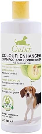Quint Products Colour Enhancer Shampoo and Conditioner (17.41 oz.) Colour Enhancer (Melon, Orange Oil) with Avocado Oil and Grape Seed Oil Avocado Oil