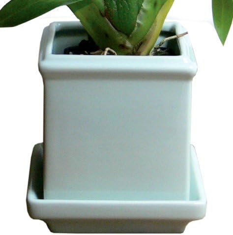 Plant Furniture 3031 Perfect Orchid Pot, Icy Blue