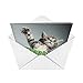 NobleWorks - Jumbo Thank You Card with Envelope (8.5 x 11 Inch), Animal Notecard, Thankful Friend - This Much Kitten J3612