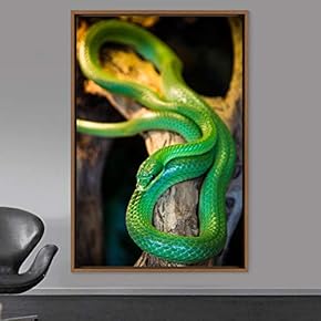 signwin Framed Canvas Wall Art Snake Contemporary Dramatic...