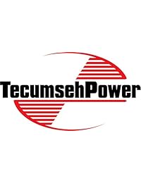 Tecumseh 670377 Carb Herramienta