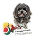Christmas Dog Stocking Toys. Pack Assorted with Squeaker Inside of Newspaper Toy, Squeaky Boot, a red, Green & White Tennis Ball & red White & Green Knotted Rope Xmas Toy. Small Medium Large Breeds