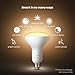 Philips 464800 Hue White Ambiance BR30 LED Bulb