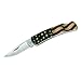 Buck Knives 0525 Gent Pocket Knife