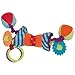 Manhattan Toy Ziggles Rattle and Teether Developmental Activity Toy