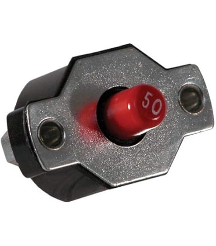 41Dbs1v0-RL._AC_UL495_SR435,