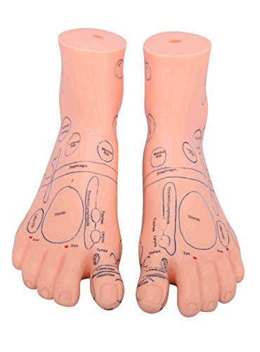 Foot Reflex Zone Massage Model 17cm 7" (English Language)