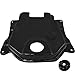 2003-2019 Honda Ruckus Zoomer Black Plastic Gas Tank Cover
