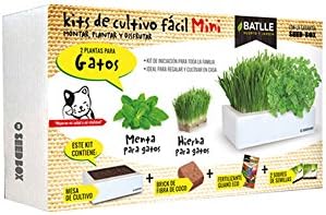 Huerto Urbano - Seed Box Mini Gatos - Batlle: Amazon.es: Jardín
