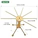 Debolic Collapsible Pasta Drying Rack and Spaghetti Drying Rack Stand/Spaghetti Pasta Maker with 10 Arms Food Grade ABS Plastic Matrial Household Noodle Dryer Stander Holder