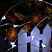 String Lights, CrazyFire LED Fairy String Light 33ft 100 LEDs Waterproof Decorative Starry Lights for Bedroom, Patio, Parties (Copper Wire Lights, Cool White)
