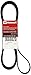 Motorcraft JK6982D Serpentine Belt