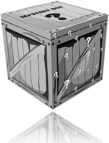CreativeFLToys Mystery Box Gamers โ Fnite Themed Mystery Boxes | 4 โ 6 Items | Minimum $100 Value | Vintage Packaging Gamers |