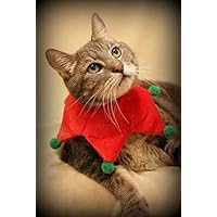 Snarky By Nature Greetings Sweet cat Holiday Christmas Card (Set of 5)