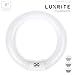 Luxrite LR20570 (4-Pack) FC8T9/CW 22-Watt 8 INCH T9 Fluorescent Circular Light Bulb, Cool White 4100K, 1180 Lumens, G10Q 4-Pin Base