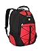 Swiss Gear SA6799 Black with Red TSA Friendly ScanSmart Laptop Backpack - Fits Most 15 Inch Laptops and Tablets