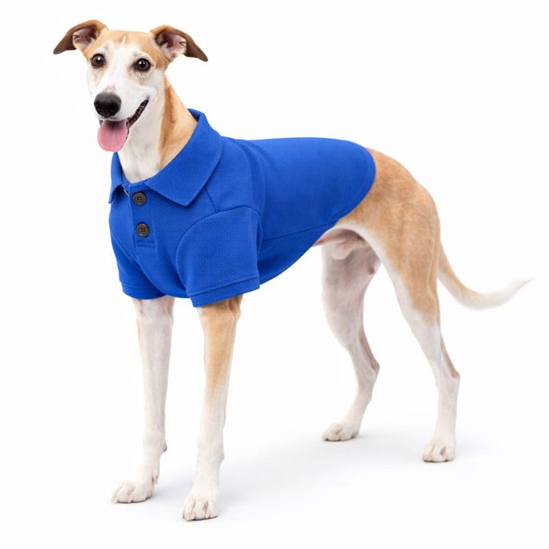 lovelonglong Basic Dog Polo Shirts Premium Cotton, Polo T-Shirts for Large Medium Small Dogs with a Two-button Collar Blank Color Blue XXL