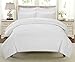 Swift Home Queen Comforter - Lightweight & Extra Soft Down Alternative Bedding - All-Season Comfortable Bed Comforter - Wrinkle Fade Stain Resistant - White, Queen