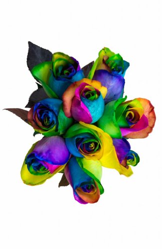 Rainbow Roses Bouquet by Flower Explosion | Fresh Tinted Rainbow Roses - 12 Stems