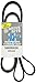 Dayco 5060955DR Serpentine Belt