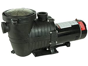 Amazon.com : 1.5 HP In Ground Pool Pump Motor, High-Flo
