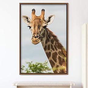 signwin Framed Canvas Wall Art Giraffe Animals Expressive...
