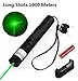 Dinsom Green Light Pointer High Power Visible Beam with Adjustable Focus for Hunting Hiking