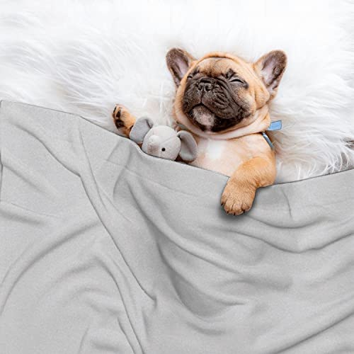 Pindola Grey Fleece Throw Blankets for Couch，Lightly Plush Cozy Textured Flannel Blanket for Sofa, Sofa, Bed, Light Gray，Valentine's Day Easter Gifts 40