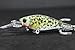 wLure Minnow Crankbait for Bass Fishing Bass Lure Jerkbait Fishing Lure (HM515KB, with Tackle Box)