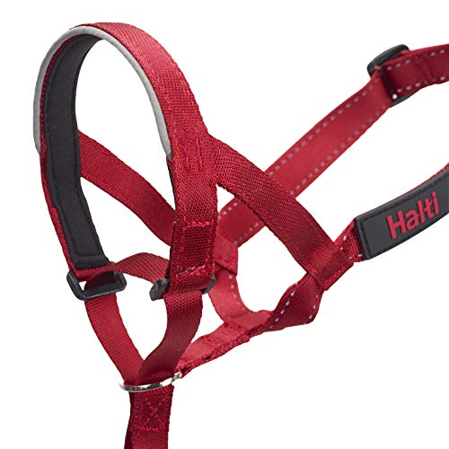 The Company of Animals HALTI Headcollar Size 1 Red Pricepulse