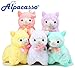Alpacasso 7