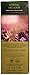Greenfield Spring Melody Herbal Tea Collection Finely Selected Speciality Tea 100 Double Chamber Teabags With Tags in Foil Sachets