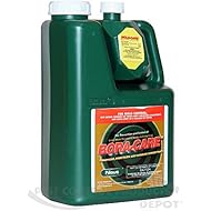 Bora-Care with Mold-Care 1 Gallon 608794