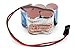 6V Tenergy 1600mAh NiMH Side by Side Double Hump Battery receiver Pack with Hitec Connector for RC car