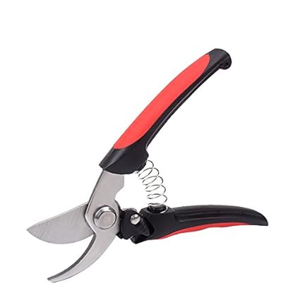 Small Garden Scissors