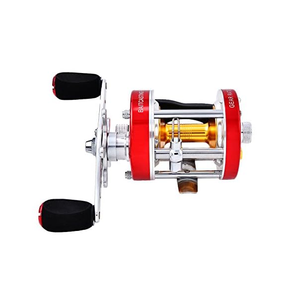 KastKing-Rover-Round-Baitcasting-Reel-No-1-Rated-Conventional-Reel-Carbon-Fiber-Star-Drag-Reinforced-Metal-Body-2016-Rover-RXA-Conventional-Reel-Inshore-and-Offshore-Saltwater-and-Freshwater-Reel-Awar