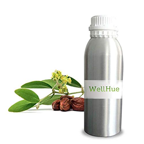 vitamin b1 solubility Importance of Health