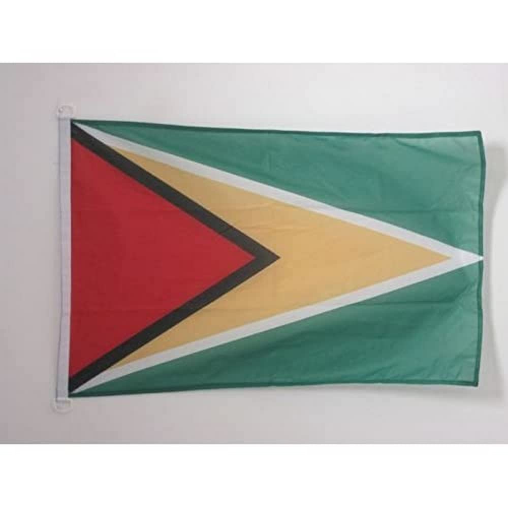 AZ FLAG - Guyana Flag - 2x3 Ft - For Outdoor - Guyanese Banner Knitted Polyester with Two Plastic Rings - Fade Resistant - Vivid Colors - 2' x 3' Feet - 90x60 Cm