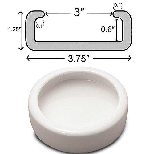 2 SLSON+Reptile+Ceramics+Mealworm+Terrestrial