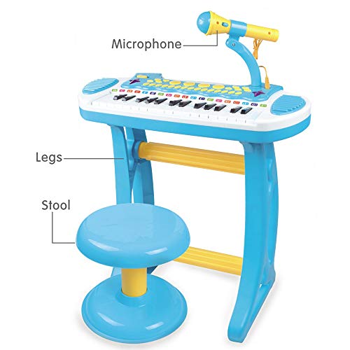 BAOLI Children Musical Instrument Electronic Organ Toy