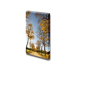 Canvas Prints Wall Art - Avenue with Colorful Trees Against Blue Sky | Modern Wall Decor/Home Decoration Stretched Gallery Canvas Wrap Giclee Print. Ready to Hang - 18" x 12"