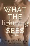 What the Lightning Sees: Part Three (Lightning Series Book 3)