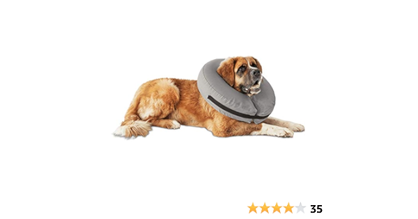 petco inflatable dog cone