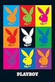 PLAYBOY POP ART POSTER Rare Hot New 24x36