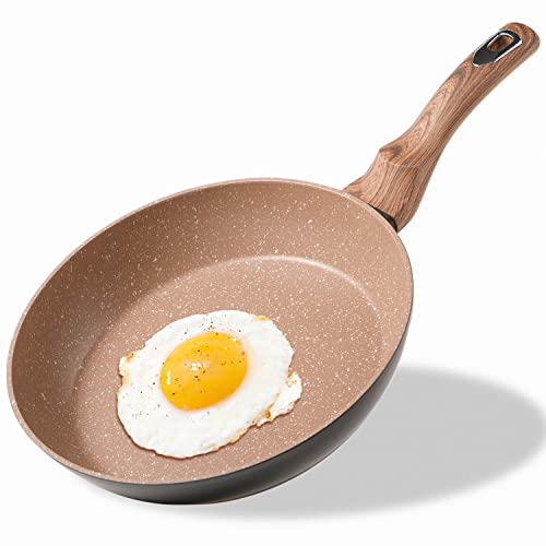 Ecowin 10 Inch Skillet, Frying Omelet Pan Nonstick Granite Coating Free